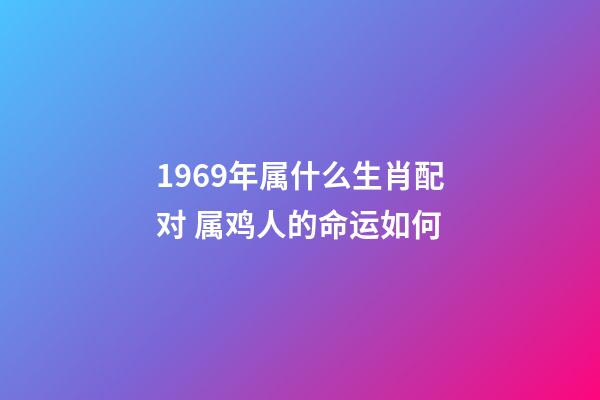 1969年属什么生肖配对 属鸡人的命运如何